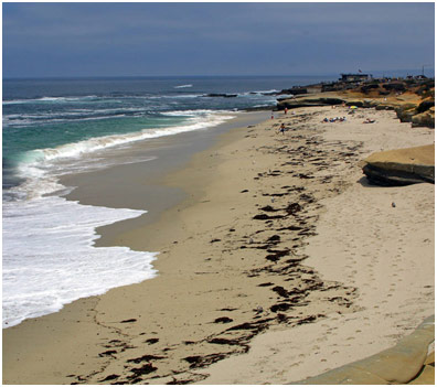 Attractions San Diego Beach Rentals Capri Beach Accommodations